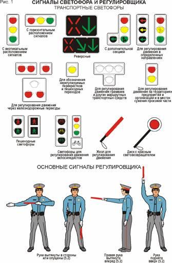 Сигналы светофора и регулировщика